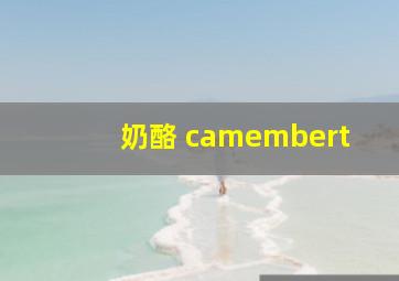 奶酪 camembert